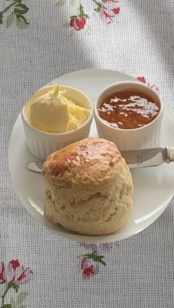 7/27,8/24 わんちゃんの健康ご飯を考えるお茶会