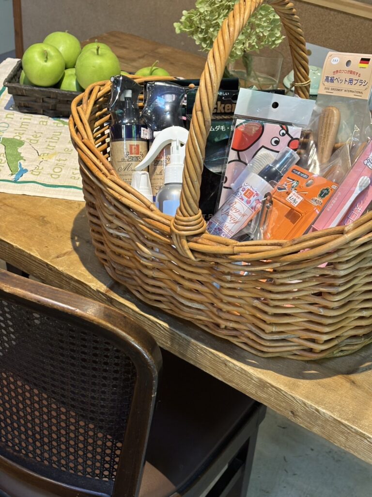 軽井沢BIRDIE特別企画家族わんちゃんみんなで楽しむ夏休み2025‗グルーミング講習会