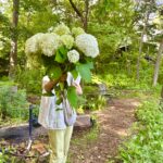 pottingshed_event_summer2025 軽井沢BIRDIE特別企画家族わんちゃんみんなで楽しむ夏休み2025