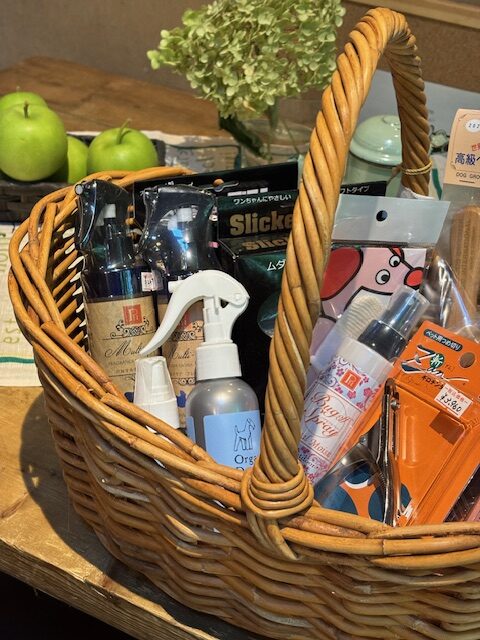 ブラッシング&歯みがきのコツを学んでみよう